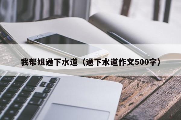 我帮姐通下水道（通下水道作文500字）