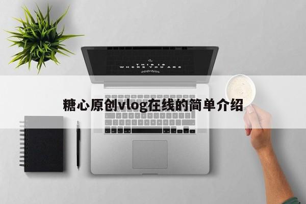糖心原创vlog在线的简单介绍