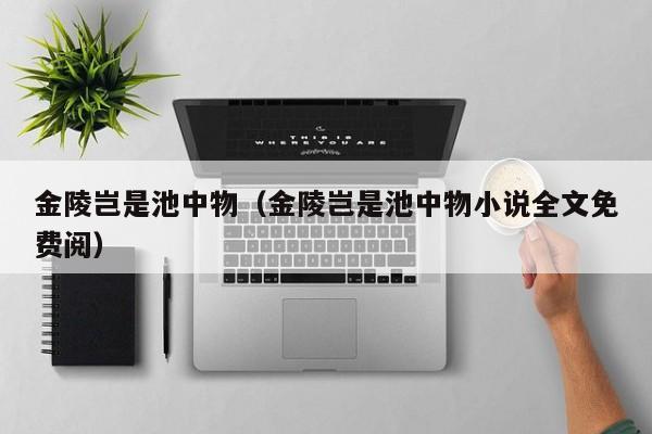 金陵岂是池中物（金陵岂是池中物小说全文免费阅）