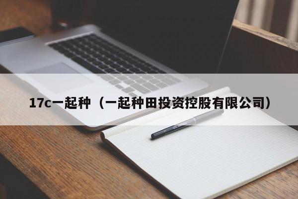 17c一起种（一起种田投资控股有限公司）