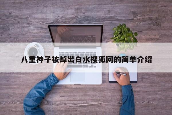 八重神子被焯出白水搜狐网的简单介绍